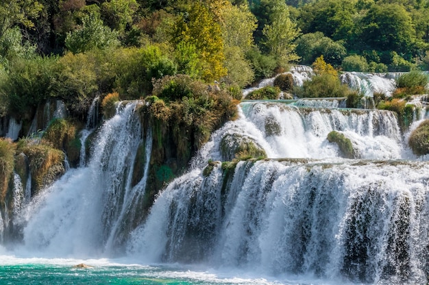 Photo scenic view of waterfall in forest