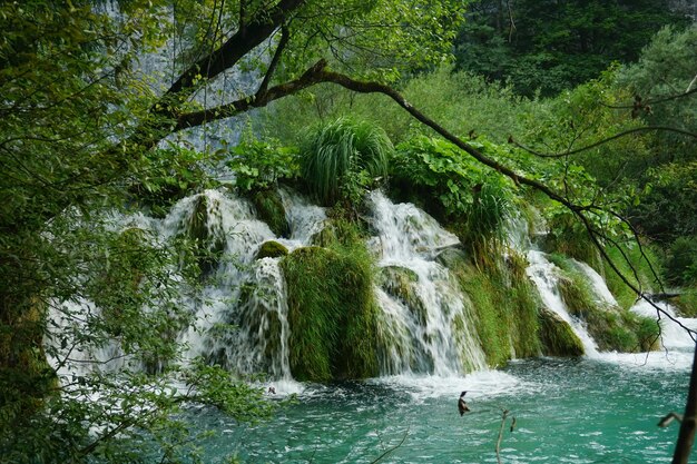 Photo scenic view of waterfall in forest