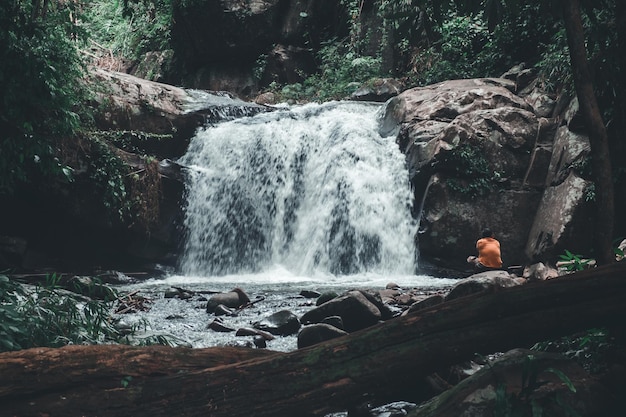 Photo scenic view of waterfall in forest