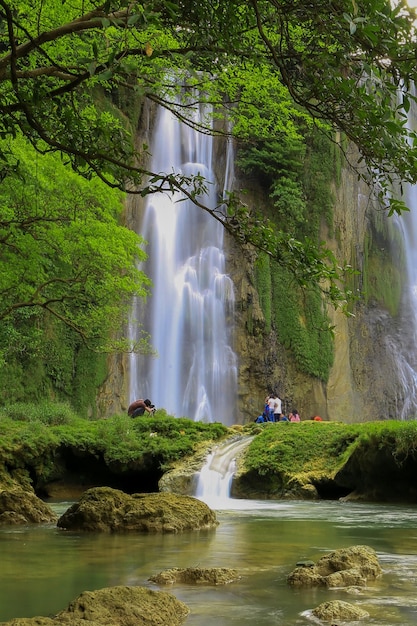 Foto la vista panoramica di una cascata nella foresta