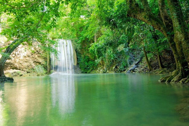 Scenic view of waterfall in forest