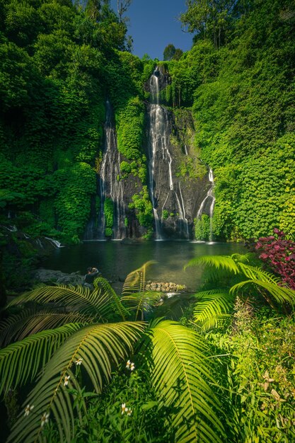 Foto la vista panoramica di una cascata nella foresta