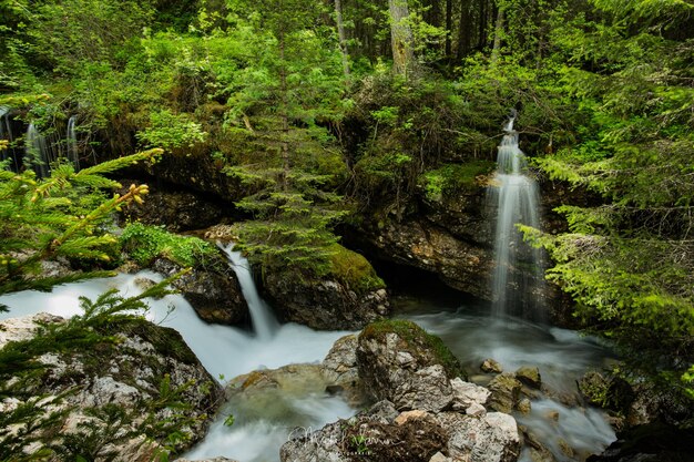 Scenic view of waterfall in forest