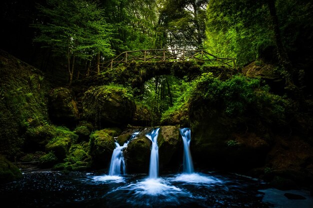 Photo scenic view of waterfall in forest