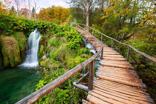 Foto la vista panoramica di una cascata nella foresta