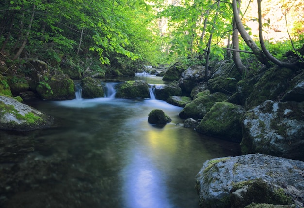 Foto la vista panoramica di una cascata nella foresta