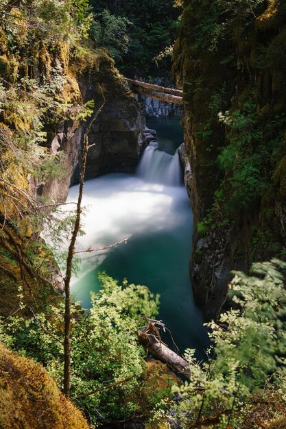 Photo scenic view of waterfall in forest