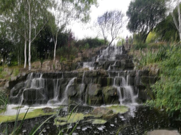 Scenic view of waterfall in forest