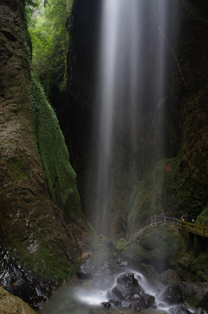 Photo scenic view of waterfall in forest