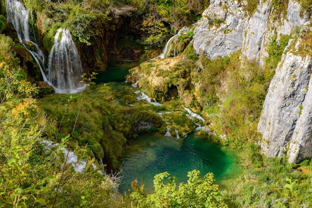 scenic view of waterfall in forest