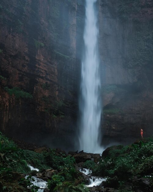 Photo scenic view of waterfall in forest