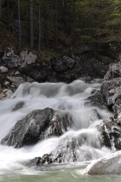 Photo scenic view of waterfall in forest