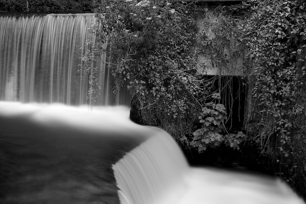 Photo scenic view of waterfall in forest