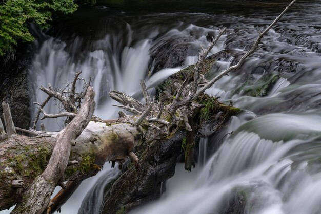 Foto la vista panoramica di una cascata nella foresta