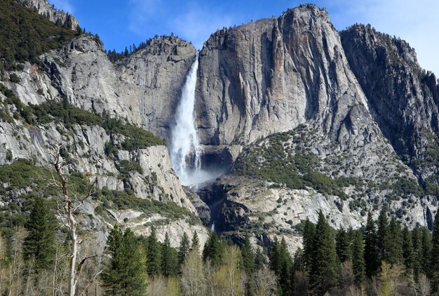 Photo scenic view of waterfall in forest