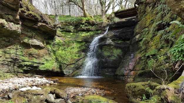 Scenic view of waterfall