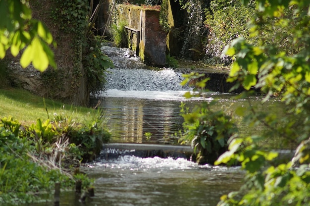 Scenic view of waterfall