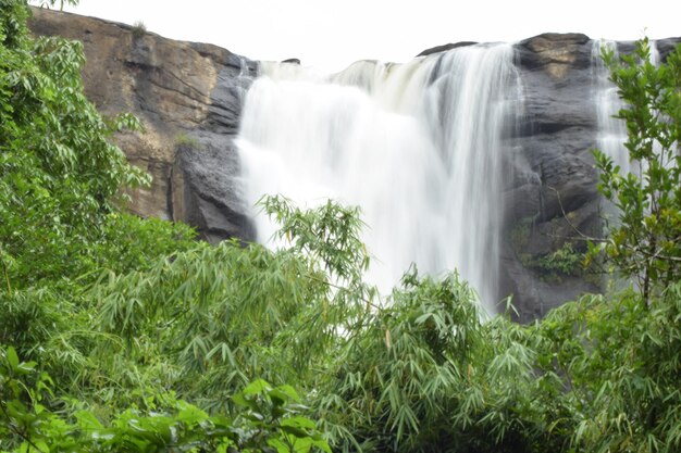 Scenic view of waterfall