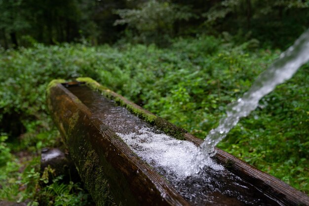 Scenic view of waterfall