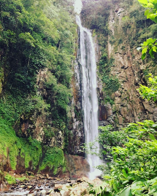 Foto la vista panoramica della cascata