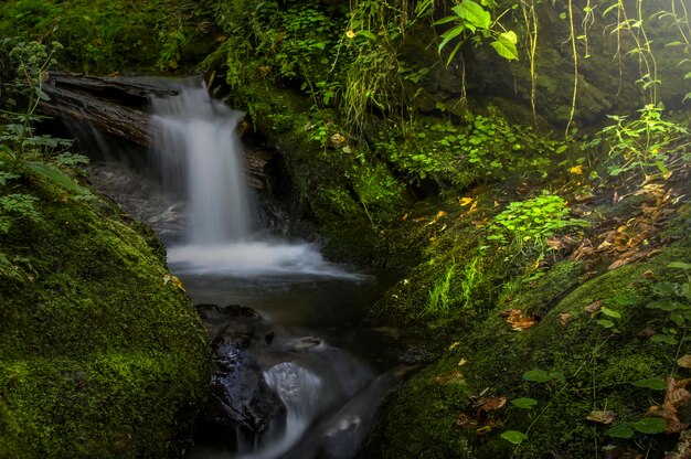 Scenic view of waterfall