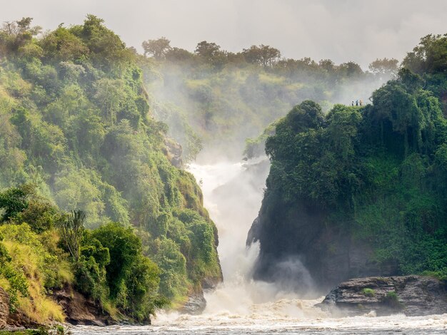 Foto la vista panoramica della cascata