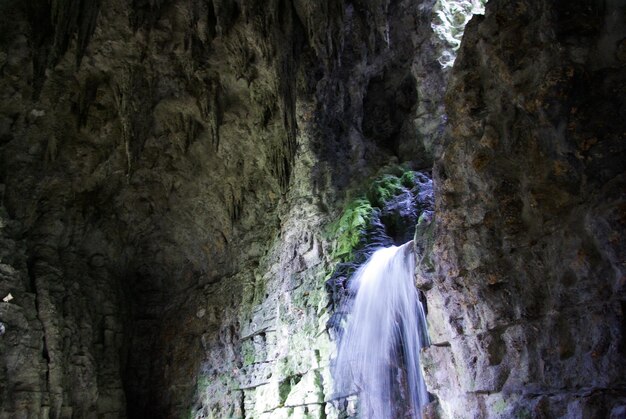 Scenic view of waterfall