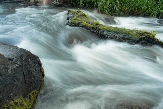 Scenic view of waterfall