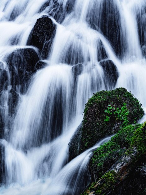 Foto la vista panoramica della cascata