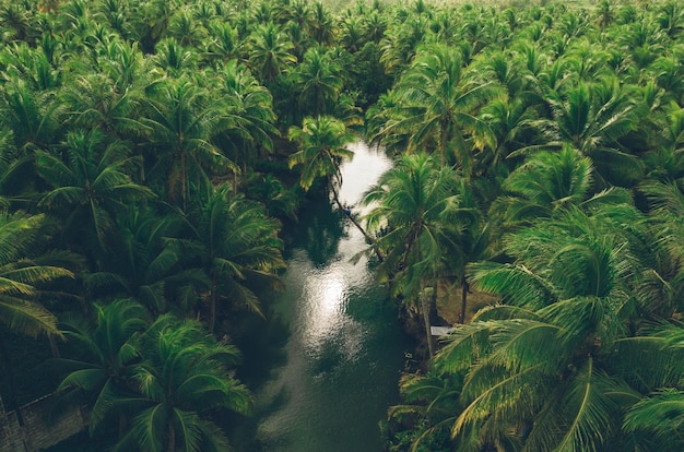 scenic view of waterfall