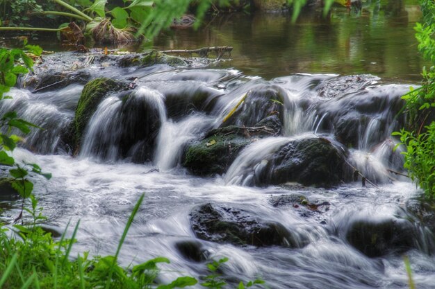 Scenic view of waterfall