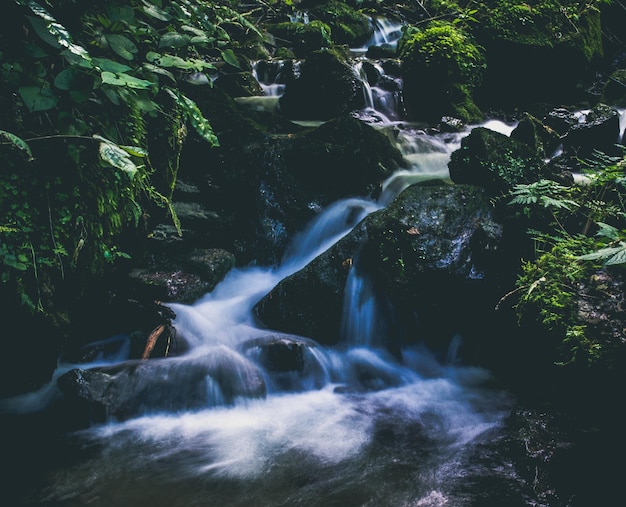 Scenic view of waterfall