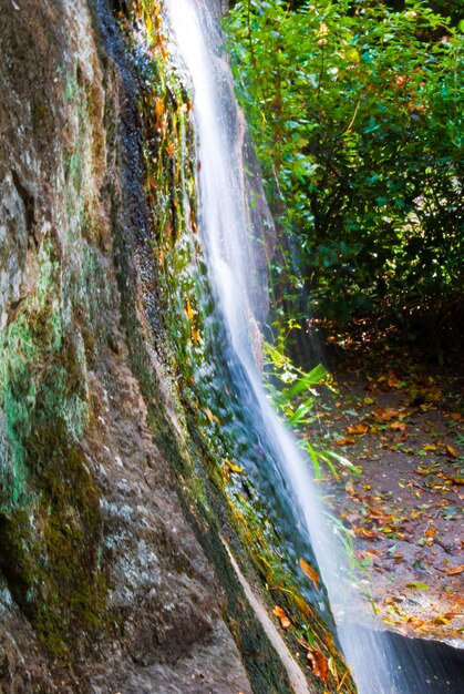 Foto la vista panoramica della cascata