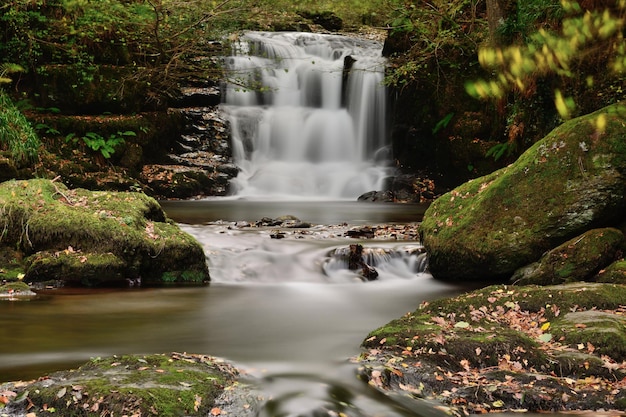 Scenic view of waterfall