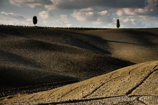 Foto la vista panoramica del campo di grano contro il cielo