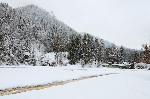 アルプス、スロベニアの雪に覆われた木々のある冬の風景の美しい景色。自然の美しさの概念