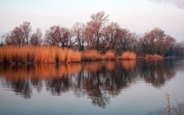 Scenic view with reflection on the lake. Calm pond early in the morning