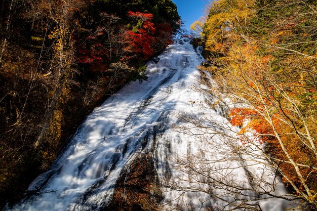 Photo scenic view of yutaka waterfall in forest during autumn