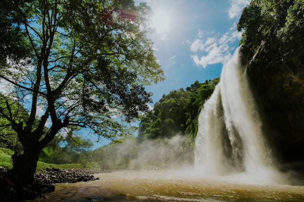 Scenic waterfall viewed from above