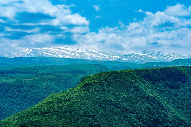 地平線に雪に覆われた山脈のある風光明媚な樹木が茂った高山の風景