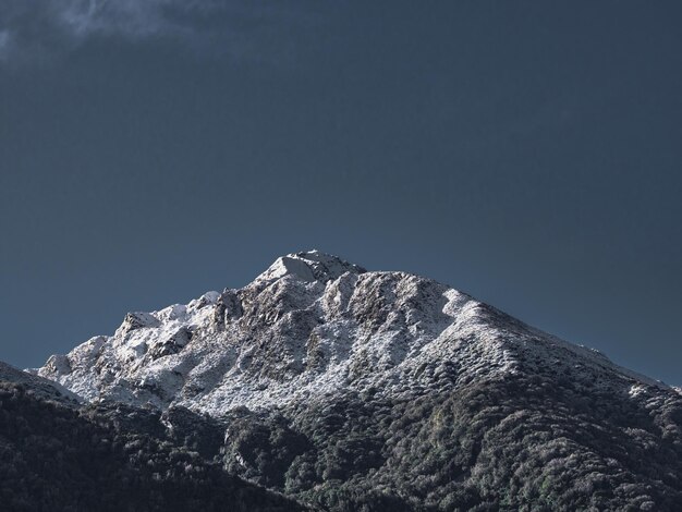 Scenics - nature in arthurs pass