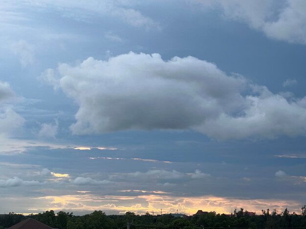 Scenics - nature in ban khlong hang