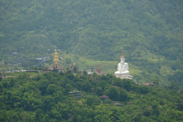 Scenics - nature in bangkok