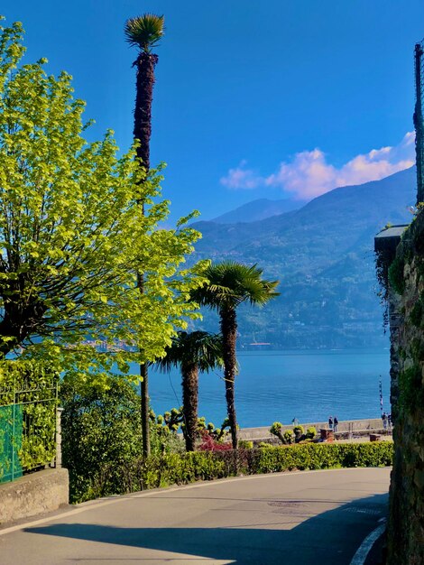 Scenics - nature in bellagio