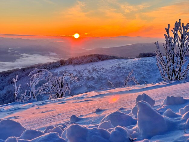 Scenics - nature in berehy gorne