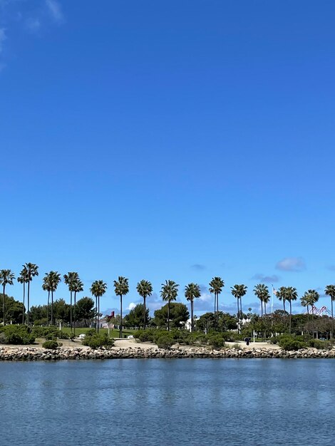 Scenics - nature at california