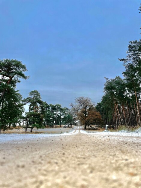 Scenics - nature in deelen