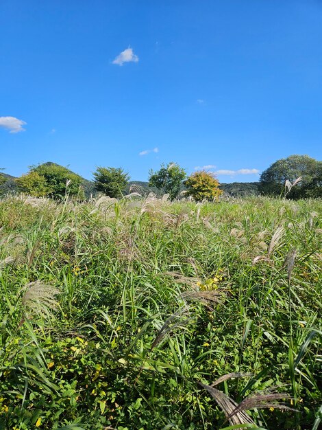 Scenics - nature in duchon