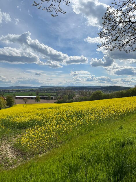 Scenics - nature in everloh