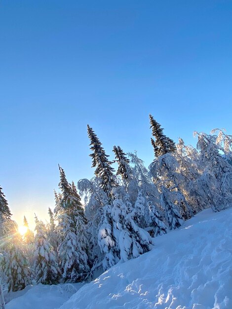 Scenics - nature in fardkallan